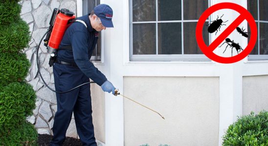 Mezitli Kemirgen İlaçlama böcek ilaçlama ve haşere kontrolü — ilaclama-tr.com